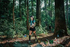 BIB: 
                            <button type="button" onclick="openModal(26130413)" class="btn btn-primary btn-sm float-right btn-popup" data-toggle="modal" data-target=".modal-high-quality">
                        <i class="fas fa-shopping-cart"></i> Add to Cart
                    </button>
                                            <button type="button" onclick="isThisMe(26130413, true)" class="btn btn-success btn-sm float-right btn-popup btn-isme hidden" data-toggle="tooltip" data-placement="bottom" title="นี่คือรูปของคุณใช่ไหม คลิกที่นี่เพื่อเอาเข้าอัลบั้ม">
                        <i class="fas fa-plus"></i> Add to album
                    </button>
                    <button type="button" onclick="isThisMe(26130413, false)" class="btn btn-warning btn-sm float-right btn-popup btn-isnotme hidden">
                        <i class="fas fa-ban"></i> Remove from album
                    </button>